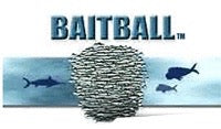 Baitball